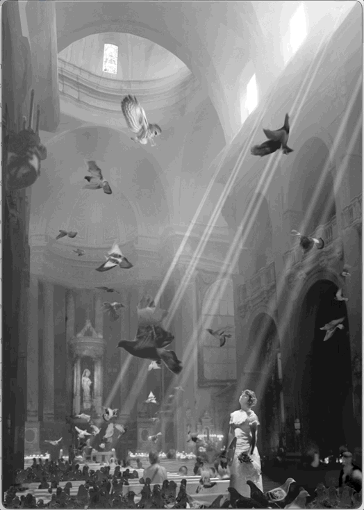 Nella Cattedrale image